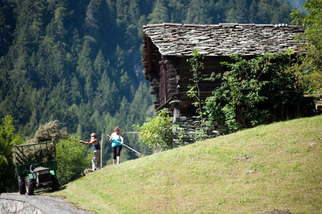 Albergo Castello Da Bonino Champorcher Zimmer foto